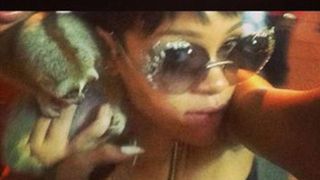 リアーナの写真がきっかけで男性2人が逮捕、絶滅の危険がある保護動物スローロリスと記念撮影