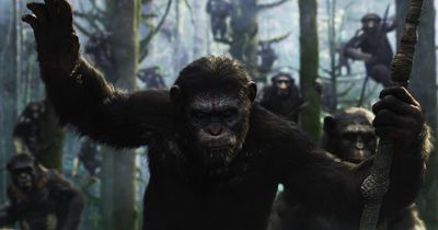 『猿の惑星』新作、今秋公開！進化した猿と人類の攻防を描く