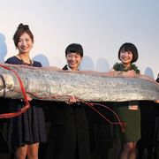 女子高生が集団妊娠…実在の衝撃事件がモチーフの映画がゆうばりで上映!
