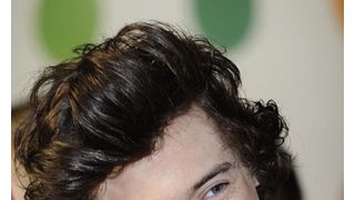 ワン・ダイレクションのハリー・スタイルズ、アメリカでヘリコプターの操縦レッスン