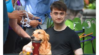 ダニエル・ラドクリフ、超大量の犬と共にニューヨークに現れる