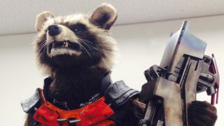 超凶暴アライグマが日本に出没!? テレビ出演も予定!?