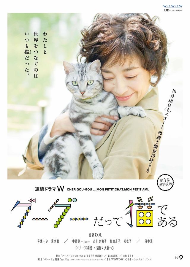 「グーグーだって猫である」宮沢りえ主演ドラマ挿入歌はUA！
