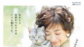 「グーグーだって猫である」宮沢りえ主演ドラマ挿入歌はUA!