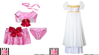 下着でセーラー戦士に変身!セーラームーンなりきりブラセットでちびうさにもなれる!