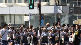 宇宙最凶アライグマが渋谷に大量出没！