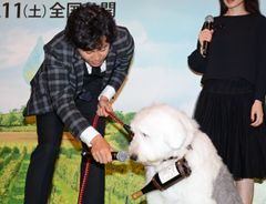 大泉洋
