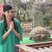 ベッキー、愛亀と神社に参拝!