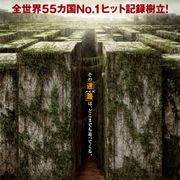 巨大迷路に閉じ込められた若者たちの脱出劇『メイズ・ランナー』5月日本公開