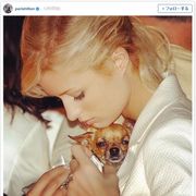 パリス・ヒルトンの愛犬が永眠