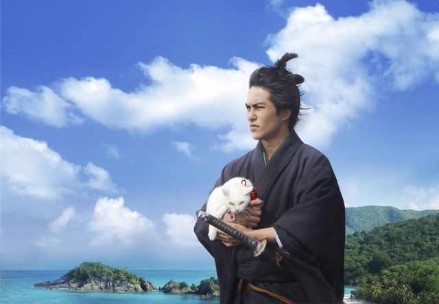 劇場版第2弾『猫侍　南の島へ行く』は9月5日公開！玉之丞が黒猫と恋に落ちる！