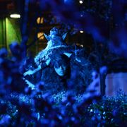 斎藤工がイノシシになってブヒブヒする衝撃映像が公開!