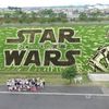 『スター・ウォーズ』田んぼアートが完成！ストームトルーパーも完成度の高さにご満悦！