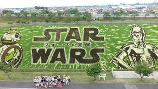 『スター・ウォーズ』田んぼアートが完成!ストームトルーパーも完成度の高さにご満悦!