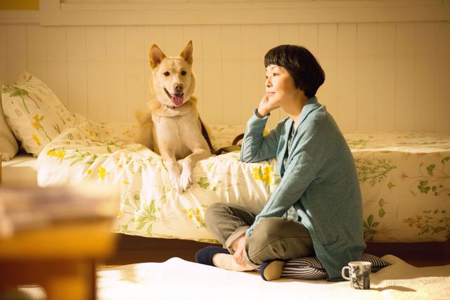 テーマは「犬の命」…小林聡美主演『犬に名前をつける日』10月公開