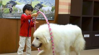 人気子役・寺田心、モフモフ犬のしつけに挑戦！フラフープくぐりも大成功！