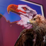 ルパンの仕業?ウォーホルの作品が偽物にすり替えられる 被害総額約4,200万円