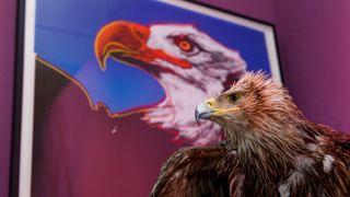 ルパンの仕業?ウォーホルの作品が偽物にすり替えられる 被害総額約4,200万円