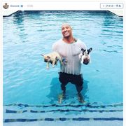 ドウェイン・ジョンソン、溺れた子犬を救う