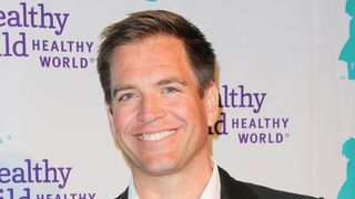 「NCIS」のマイケル・ウェザリー、酒気帯び運転で逮捕