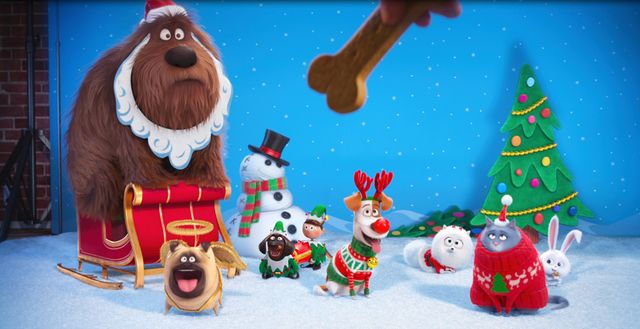 『ミニオンズ』スタッフ最新作から、ユーモアたっぷり“ペット”のクリスマス映像！