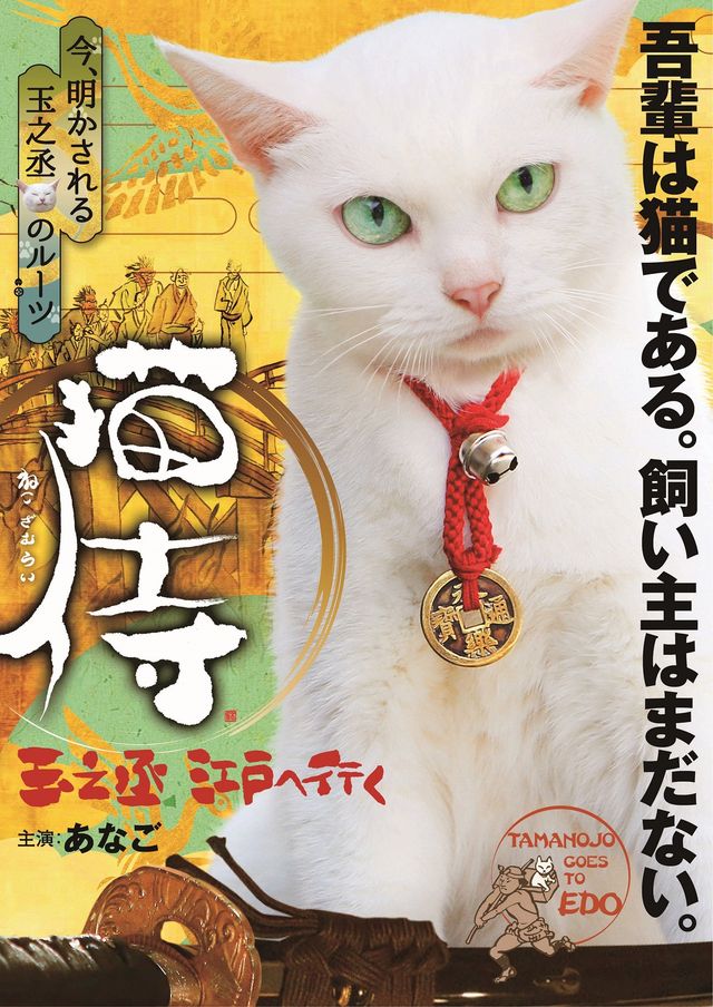 「猫侍」スペシャルドラマ来年2月放送！玉之丞のルーツが明らかに
