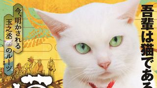 「猫侍」スペシャルドラマ来年2月放送!玉之丞のルーツが明らかに