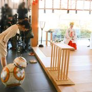 『スター・ウォーズ』BB-8が赤城神社で御祈願!キュートな姿にヒロイン声優も胸キュン