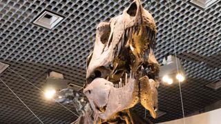 18メートルのアパトサウルスに『アーロと少年』監督が大興奮！