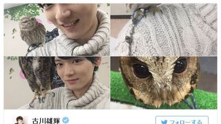 古川雄輝、フクロウカフェでの笑顔に癒やされるファン続出！「可愛すぎ」「ニット男子最強」