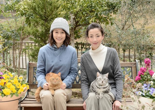 前田敦子、宮沢りえ「グーグーだって猫である」続編に出演