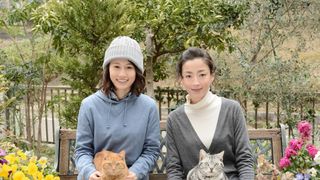 前田敦子、宮沢りえ「グーグーだって猫である」続編に出演