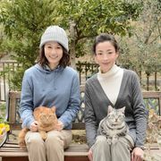 前田敦子、宮沢りえ「グーグーだって猫である」続編に出演