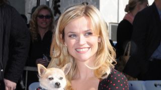 『キューティ・ブロンド』のチワワ　18歳で死去　リースも追悼