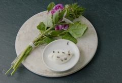 ノーマ、世界を変える料理