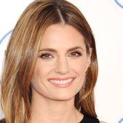 「キャッスル」のベケット女優にSNSで脅迫