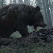 器用貧乏なディカプリオのアカデミー賞敗戦の歴史を振り返る