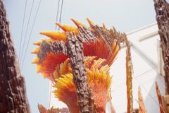 ガメラ