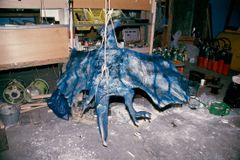 ガメラ