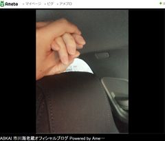 全体