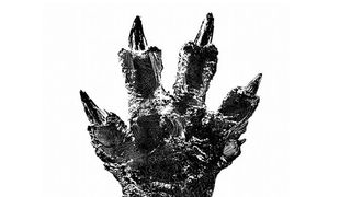 ゴジラ、北海道に上陸!史上最大サイズの実物大足跡アートがビーチに出現