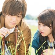 岩田剛典×高畑充希『植物図鑑』首位カムバック!『貞子vs伽椰子』は4位