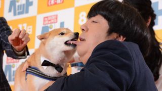 バナナマン日村、犬とのディープキスに大興奮!