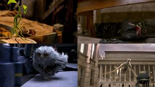 ハリポタ新シリーズ、魔法動物たちのビジュアル一挙公開!