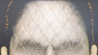 「アメホラ」米ユニバーサル・スタジオのハロウィンに登場！