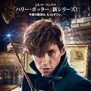 本年度実写で最速!『ファンタビ』5日で動員100万人突破!興収17億円超え