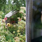 植物恐怖症女子、初老の隣人と庭づくり!アンドリュー・スコットら出演4月日本公開