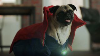 アイアンマンやキャップがなぜかワンちゃん化!キュートなアベンジャーズ犬が集合!