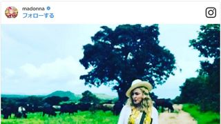 マドンナ、双子の女の子を養子に