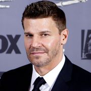 ジム・カヴィーゼルが降板 同役に「BONES」デヴィッド・ボレアナズ!